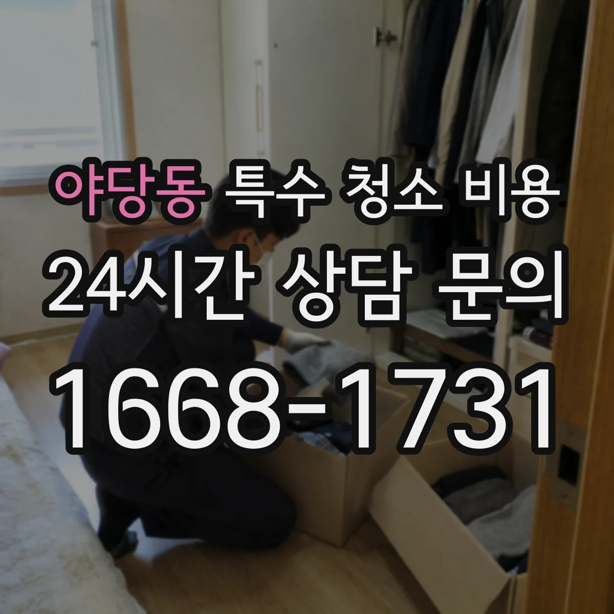야당동 특수 청소 비용