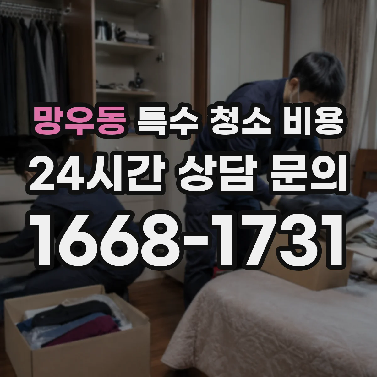 망우동 특수 청소 비용