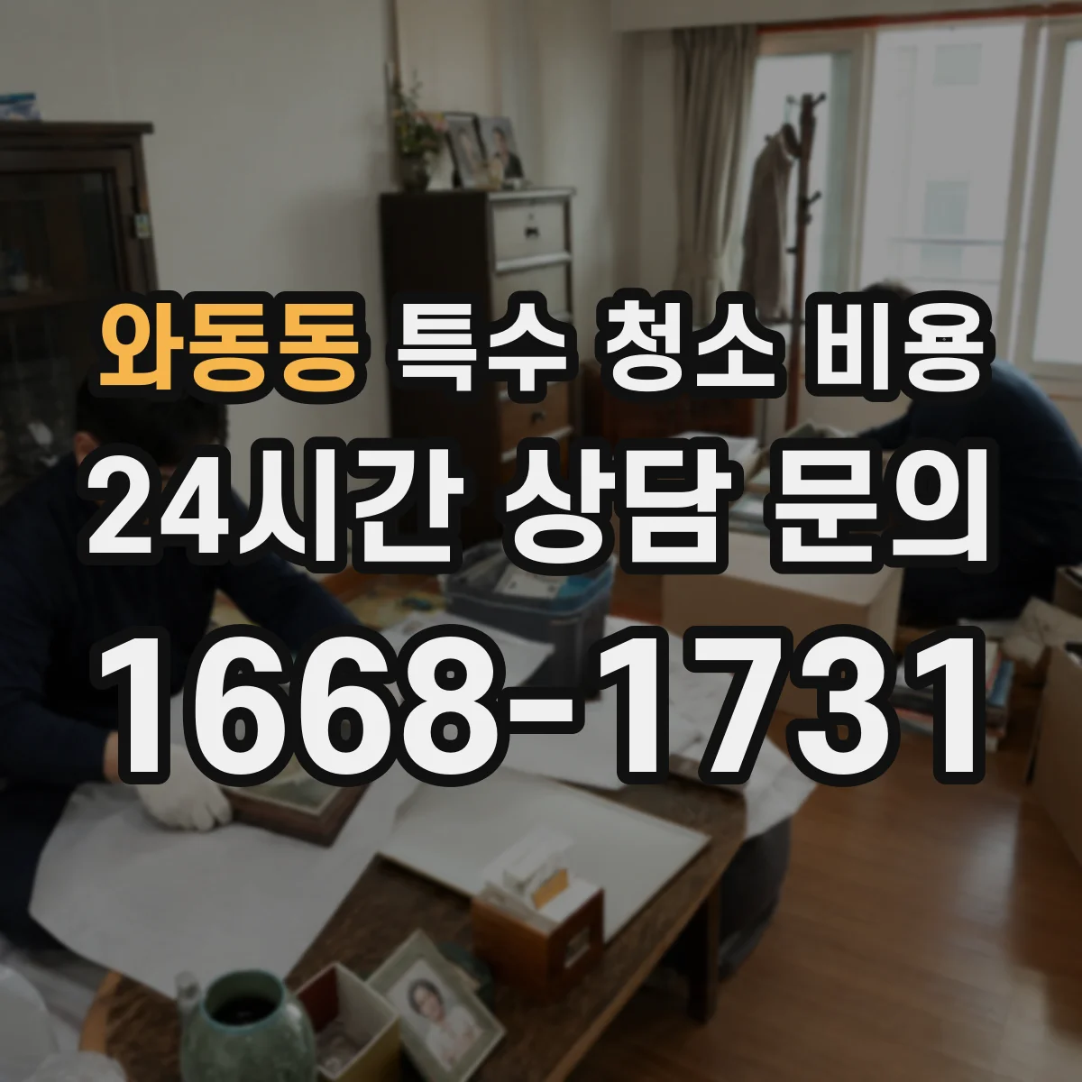 와동동 특수 청소 비용