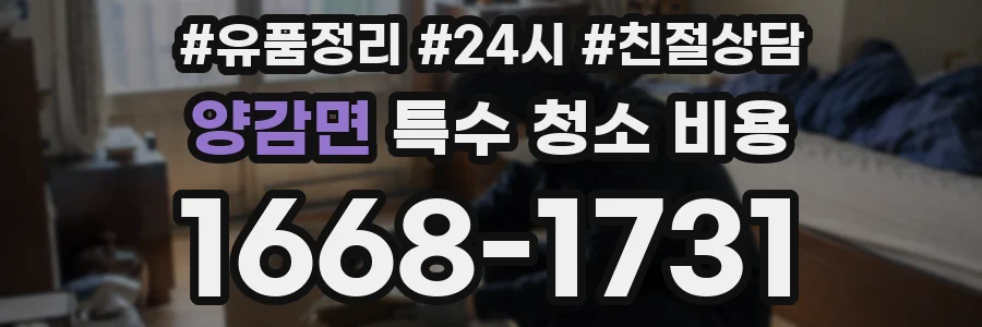 양감면 특수 청소 비용