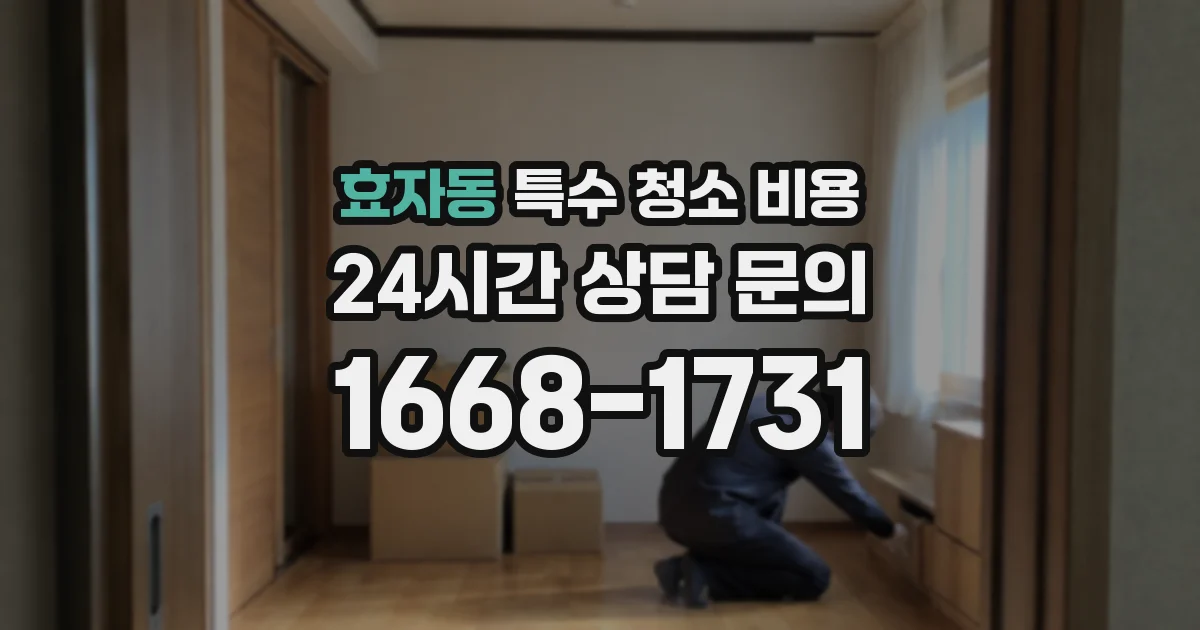 효자동 특수 청소 비용