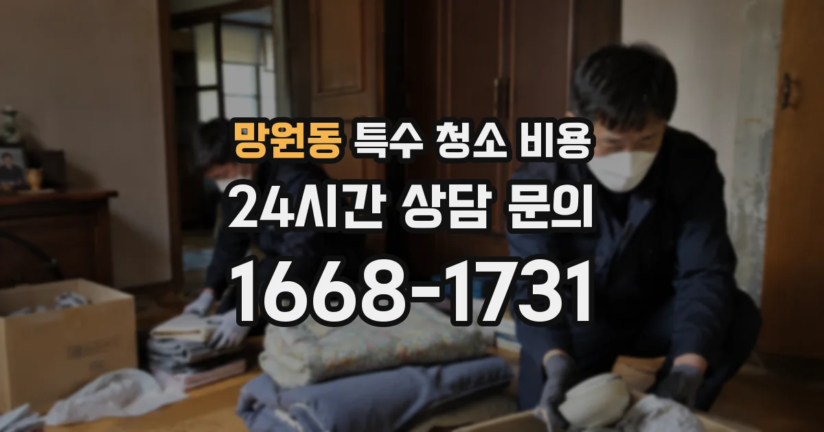 망원동 특수 청소 비용