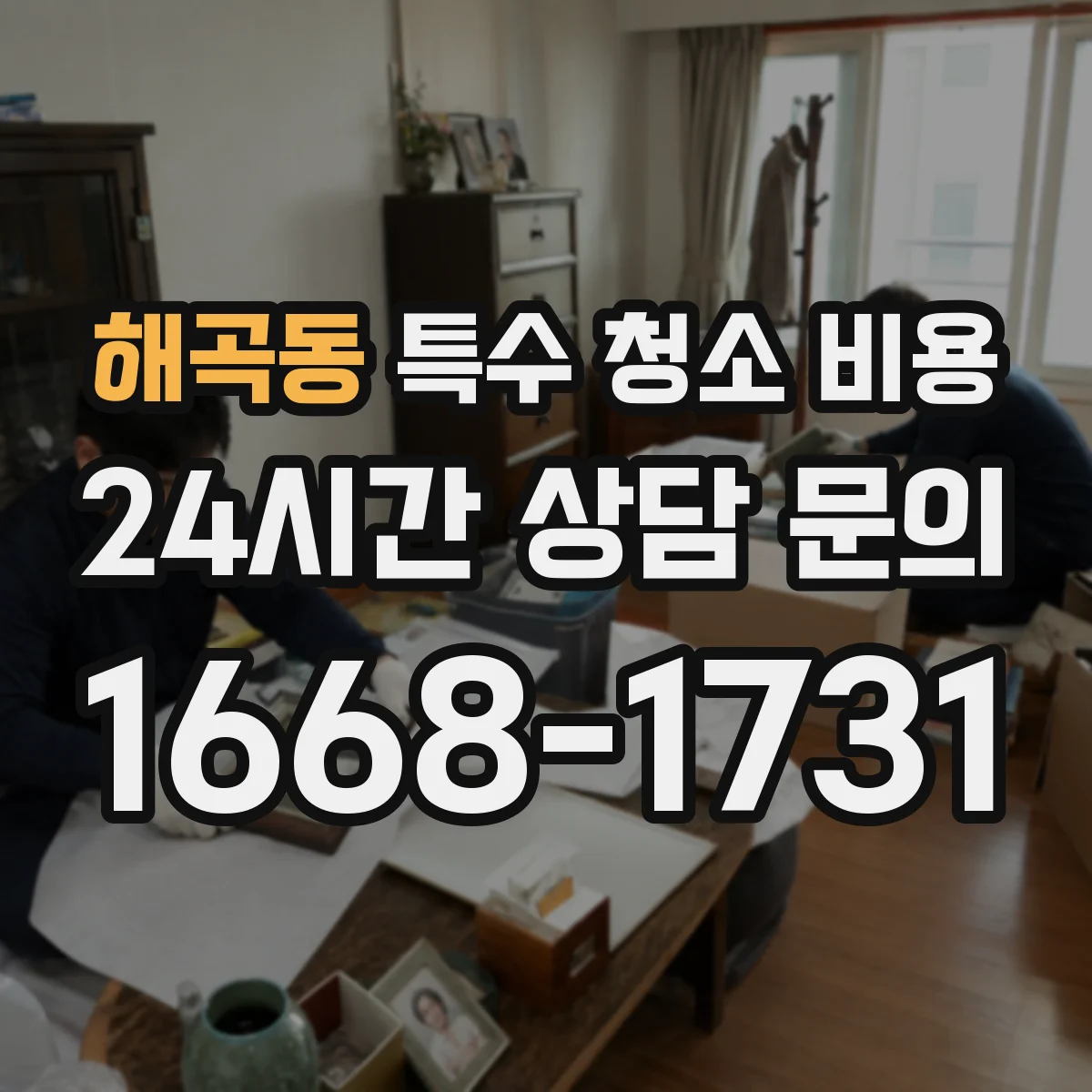 해곡동 특수 청소 비용