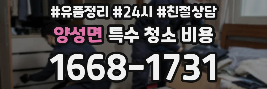 양성면 특수 청소 비용