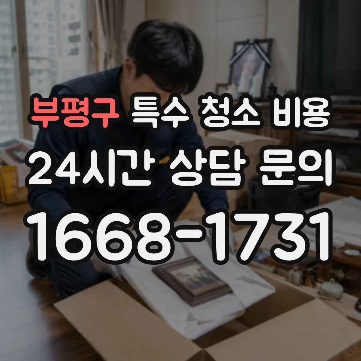 부평구 특수 청소 비용