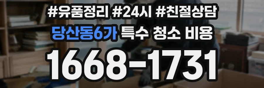 당산동6가 특수 청소 비용