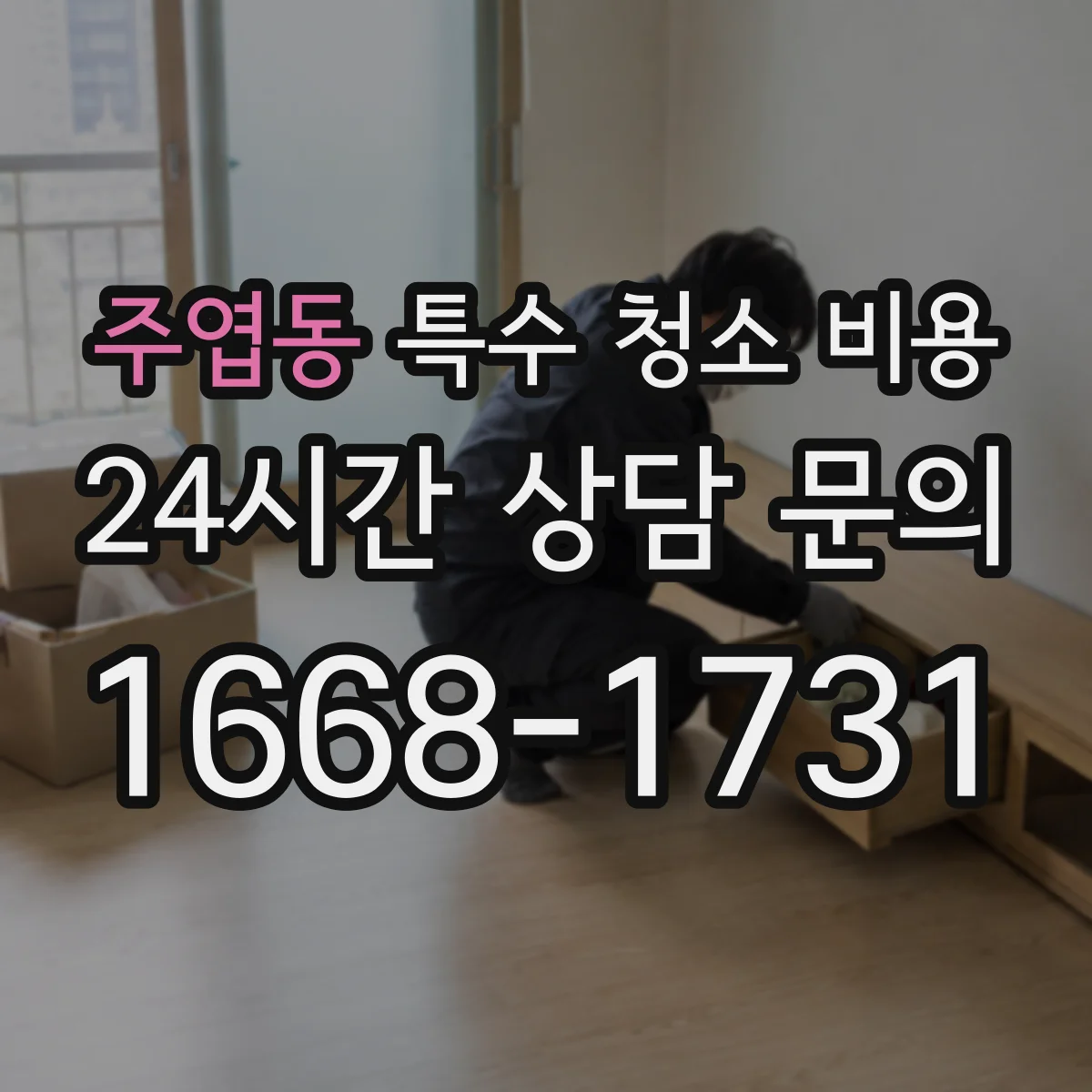 주엽동 특수 청소 비용