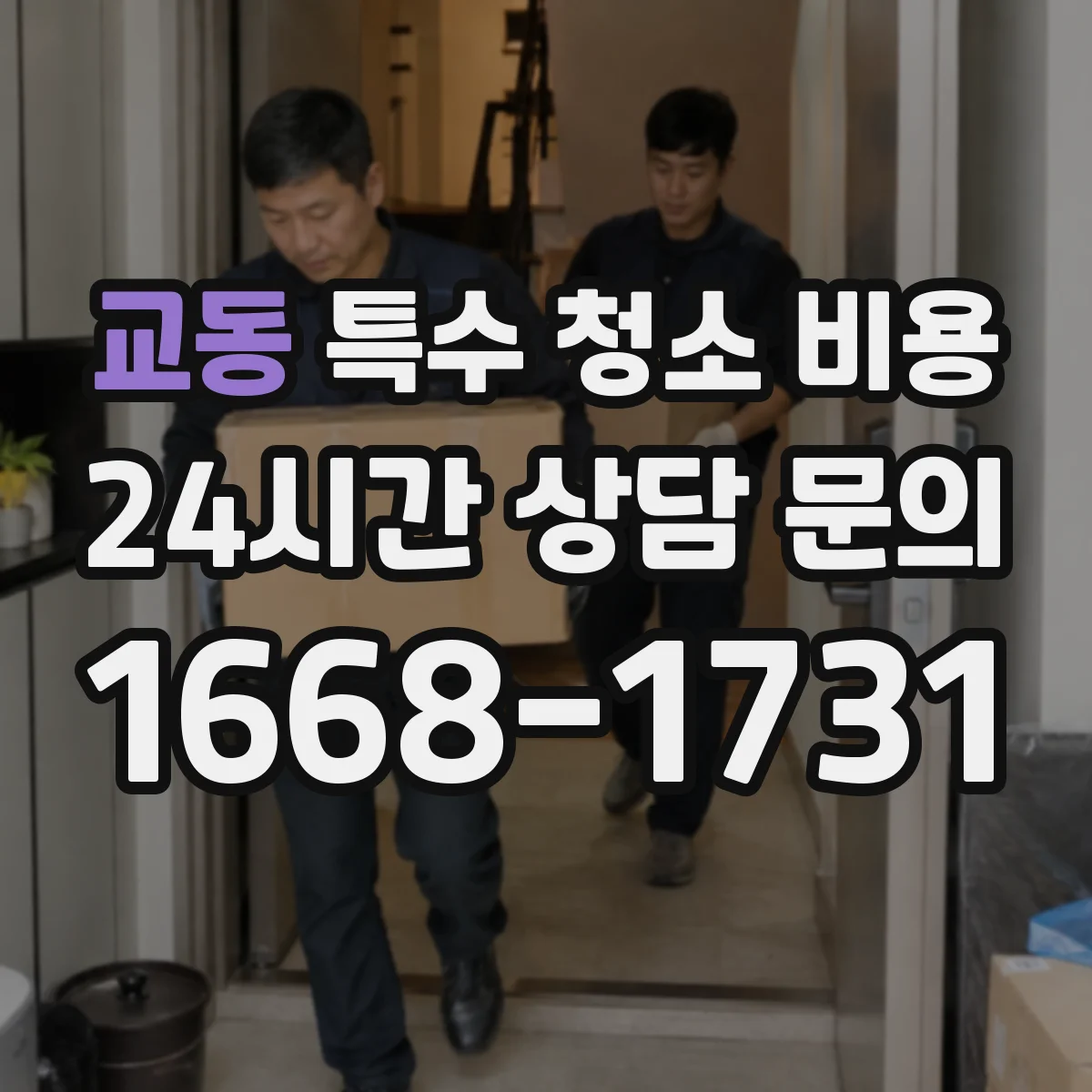 교동 특수 청소 비용