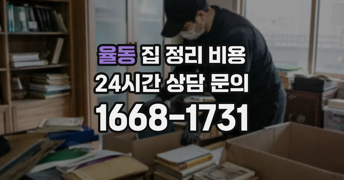 율동 집 정리 비용