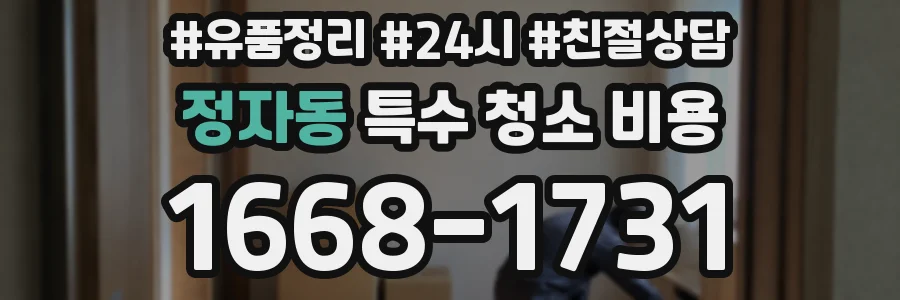 정자동 특수 청소 비용