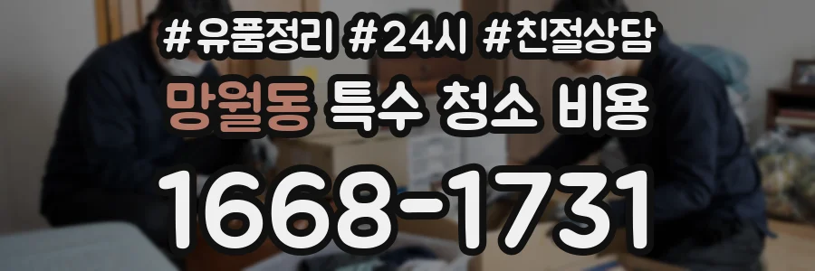 망월동 특수 청소 비용
