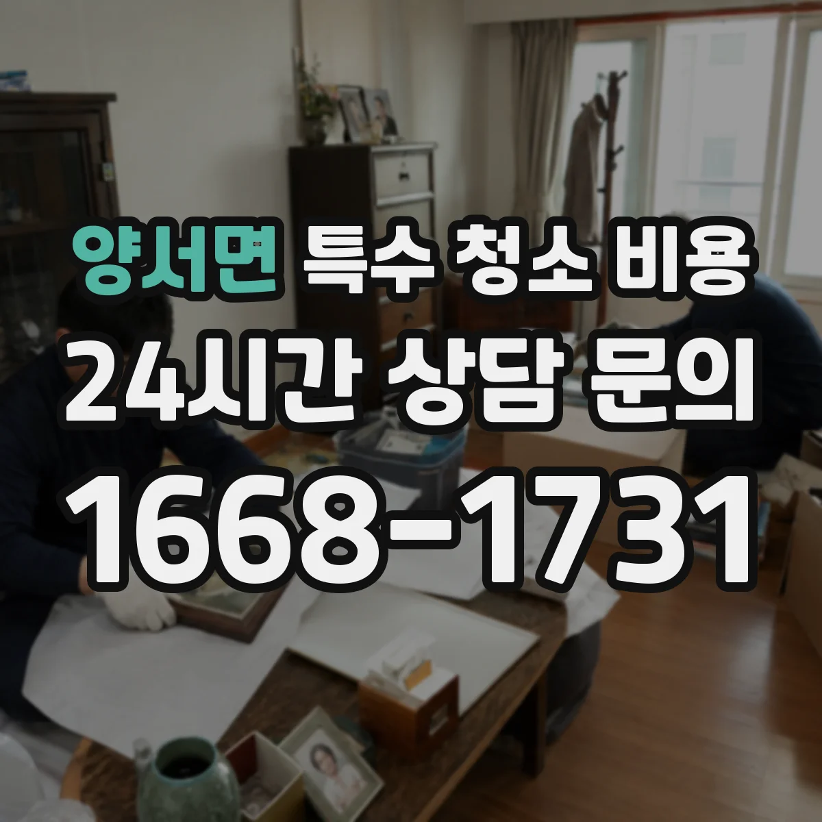 양서면 특수 청소 비용