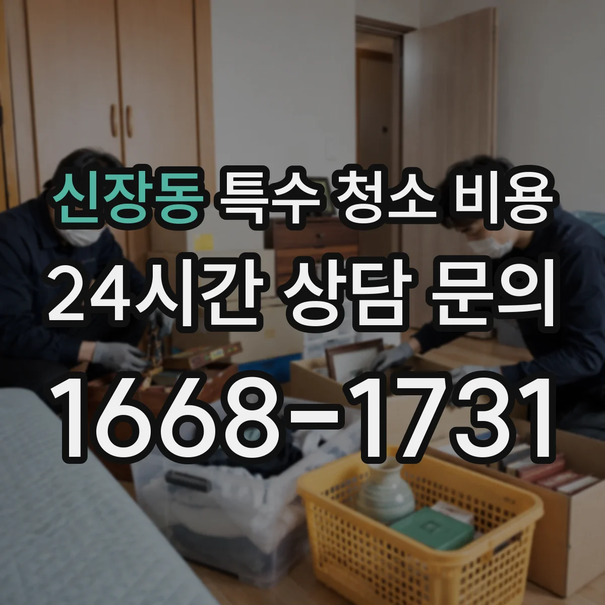 신장동 특수 청소 비용