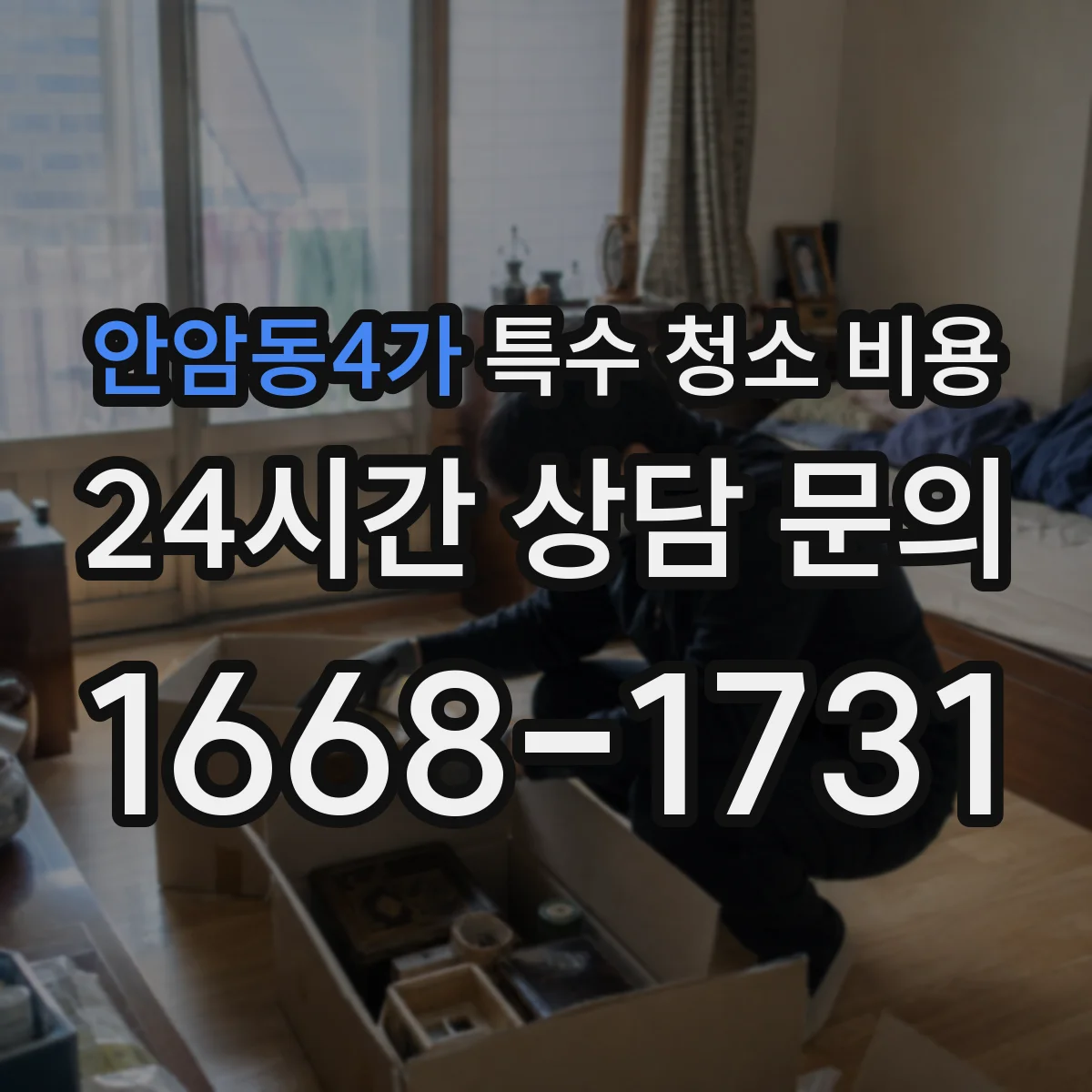 안암동4가 특수 청소 비용
