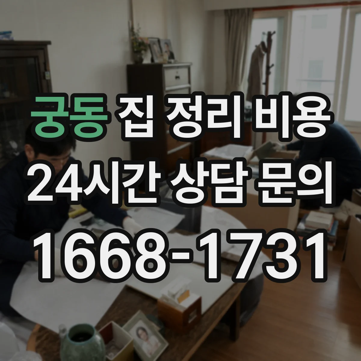 궁동 집 정리 비용