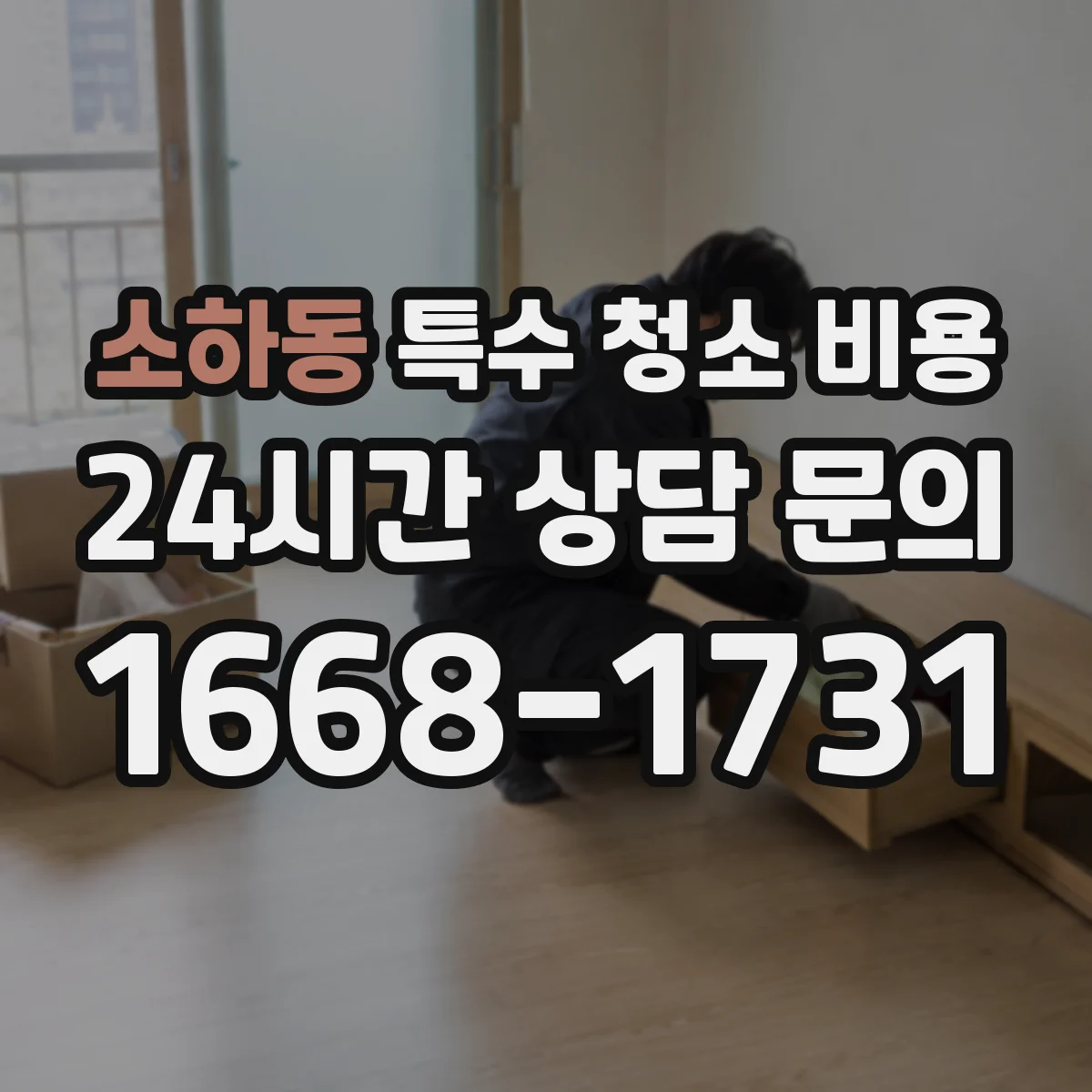 소하동 특수 청소 비용