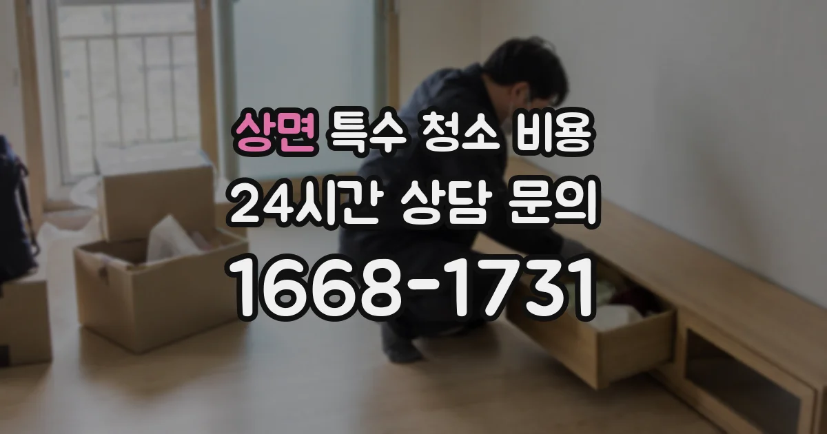 상면 특수 청소 비용