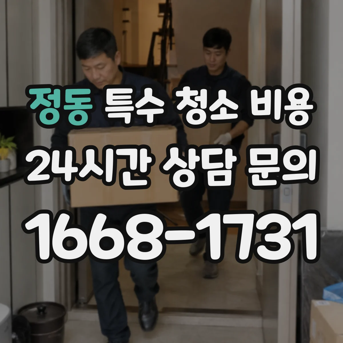 정동 특수 청소 비용