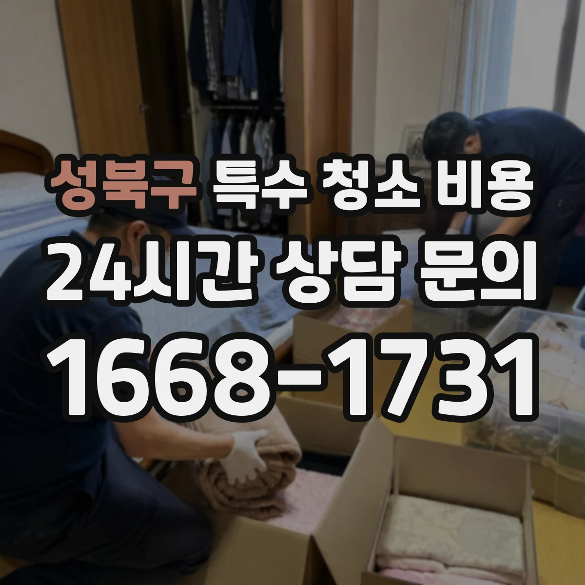 성북구 특수 청소 비용