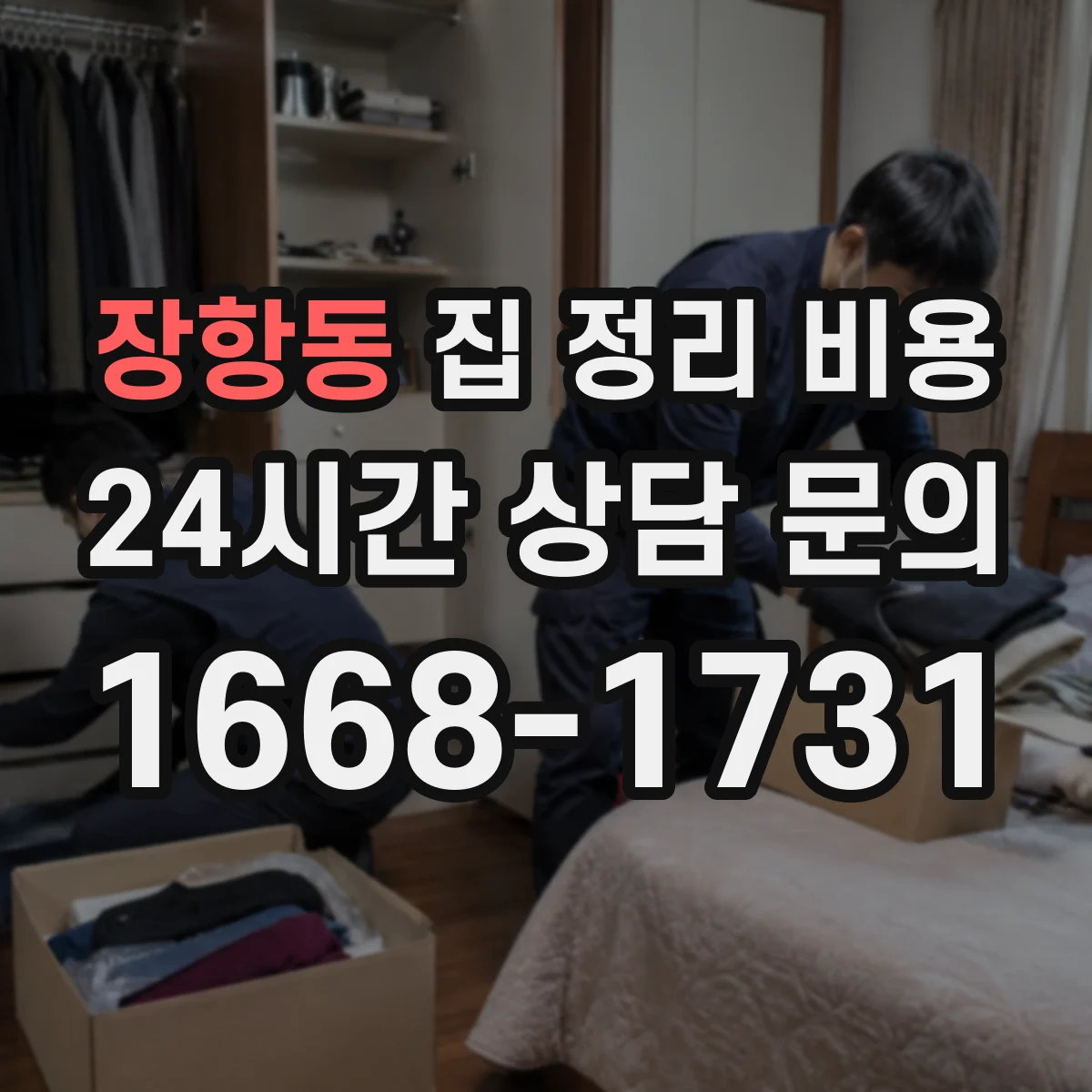 장항동 집 정리 비용