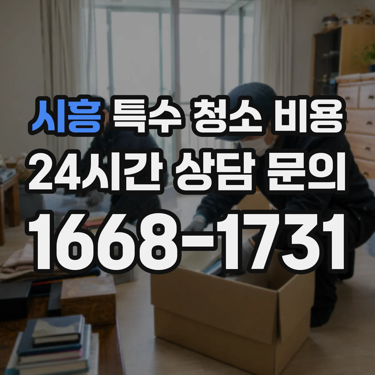 시흥 특수 청소 비용