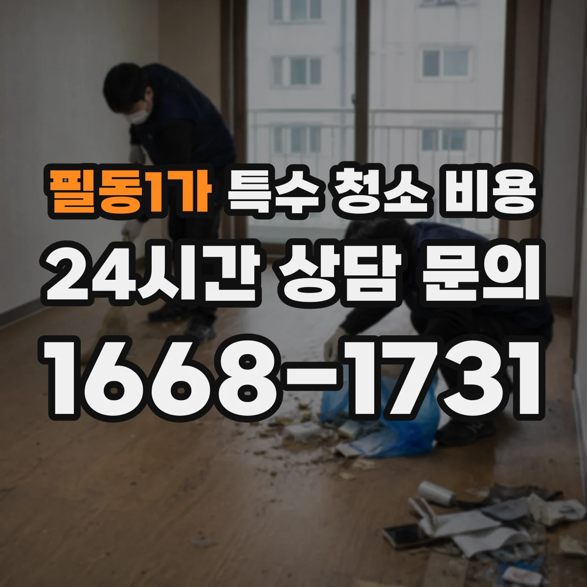필동1가 특수 청소 비용