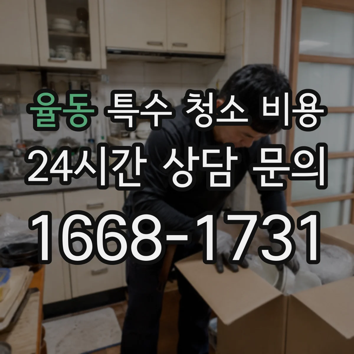율동 특수 청소 비용