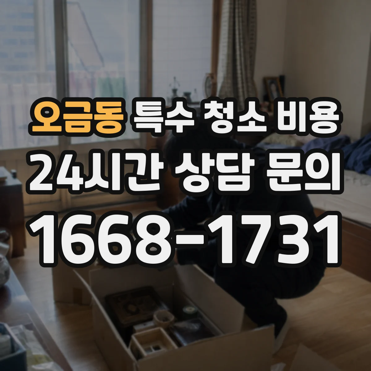 오금동 특수 청소 비용