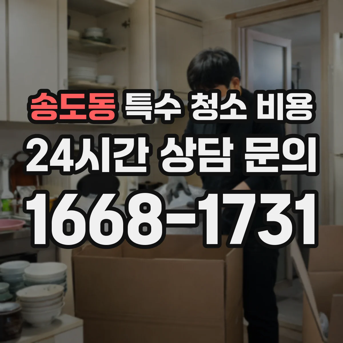 송도동 특수 청소 비용