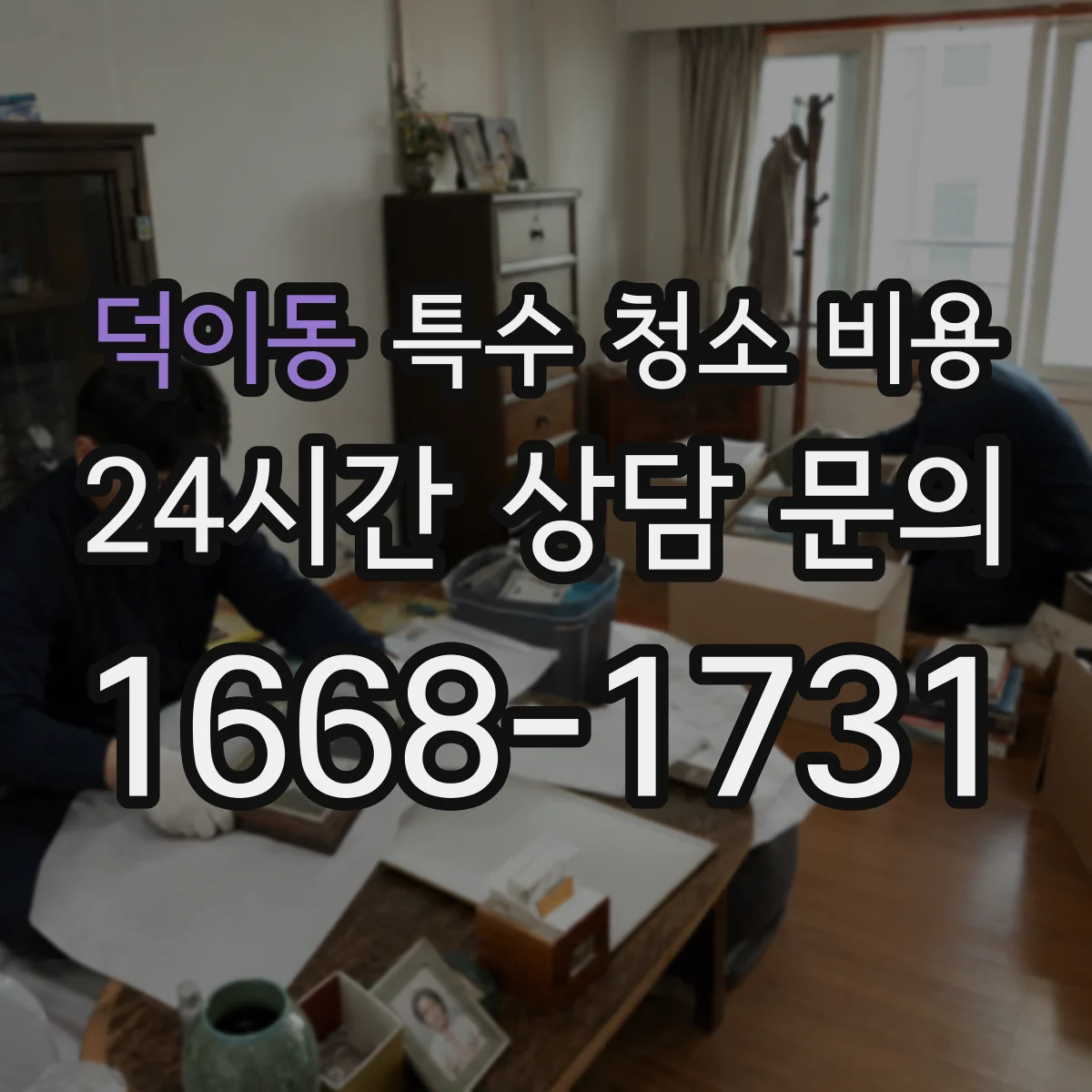 덕이동 특수 청소 비용