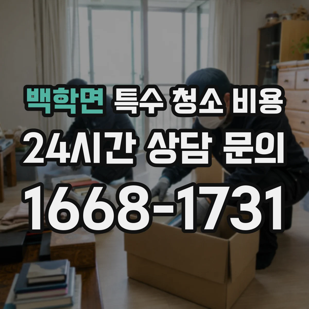 백학면 특수 청소 비용
