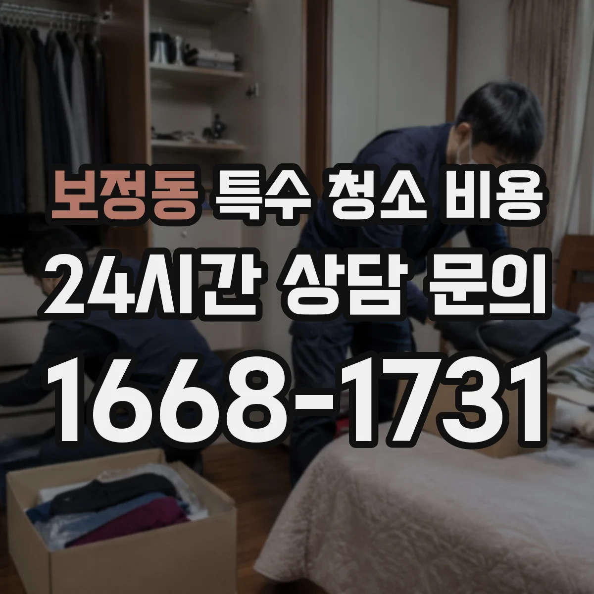 보정동 특수 청소 비용