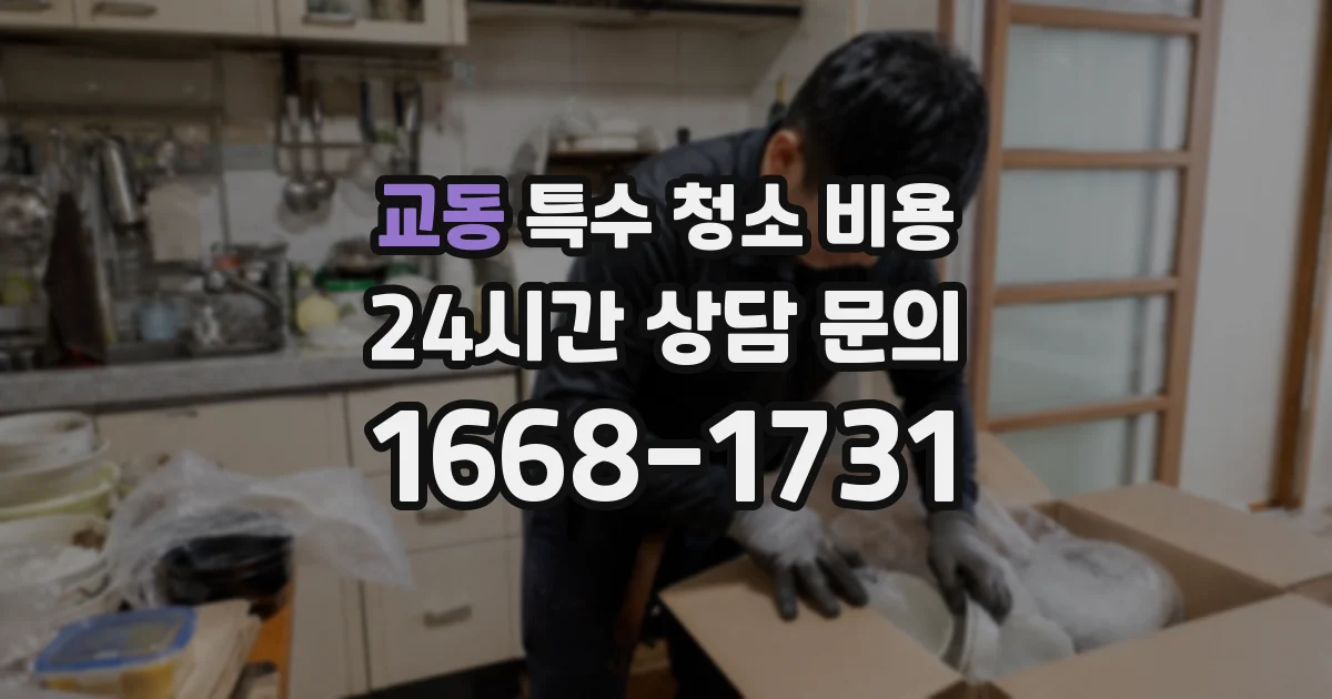교동 특수 청소 비용