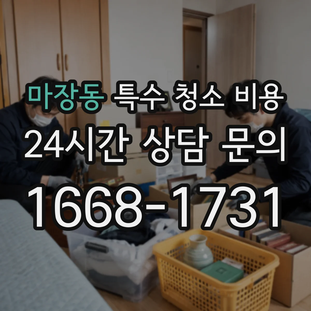 마장동 특수 청소 비용