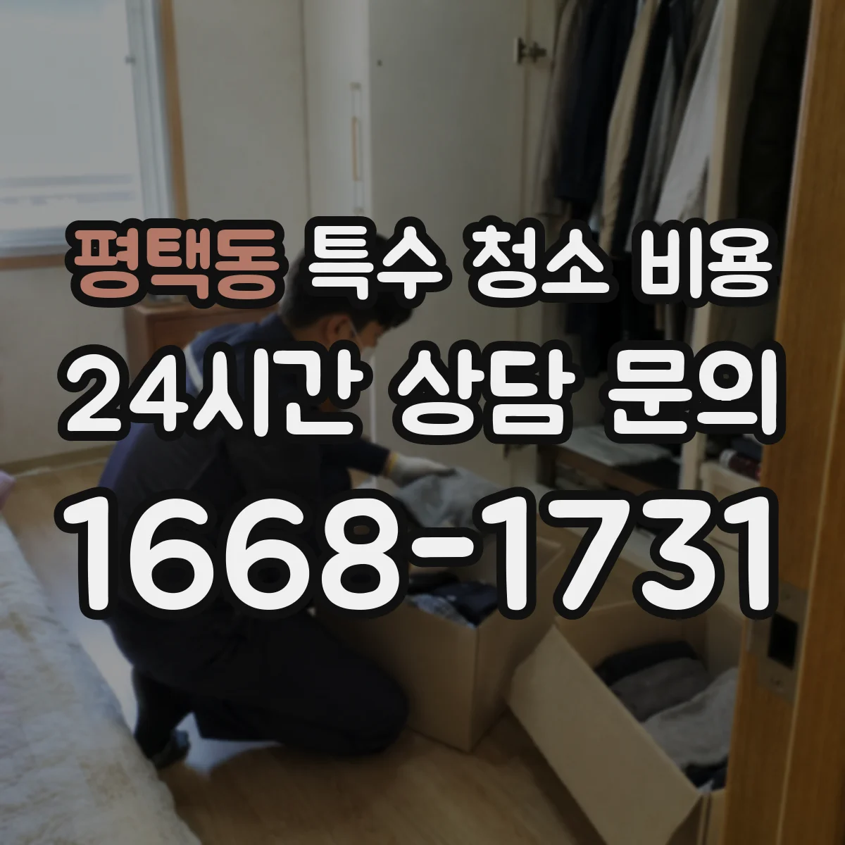 평택동 특수 청소 비용
