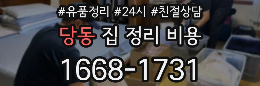 당동 집 정리 비용