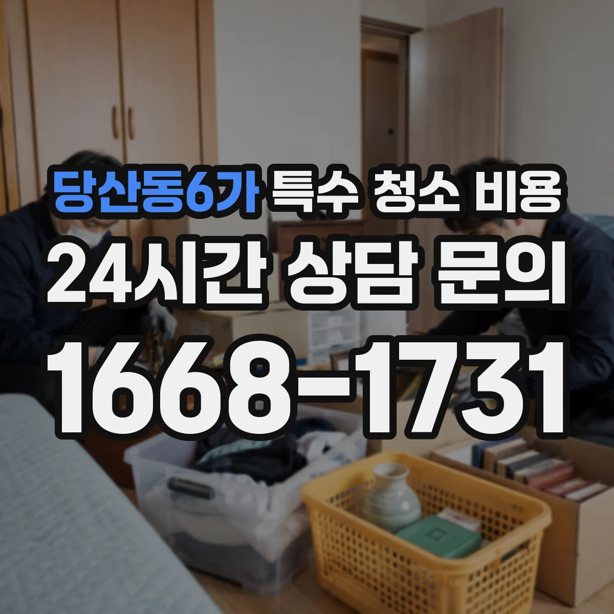 당산동6가 특수 청소 비용