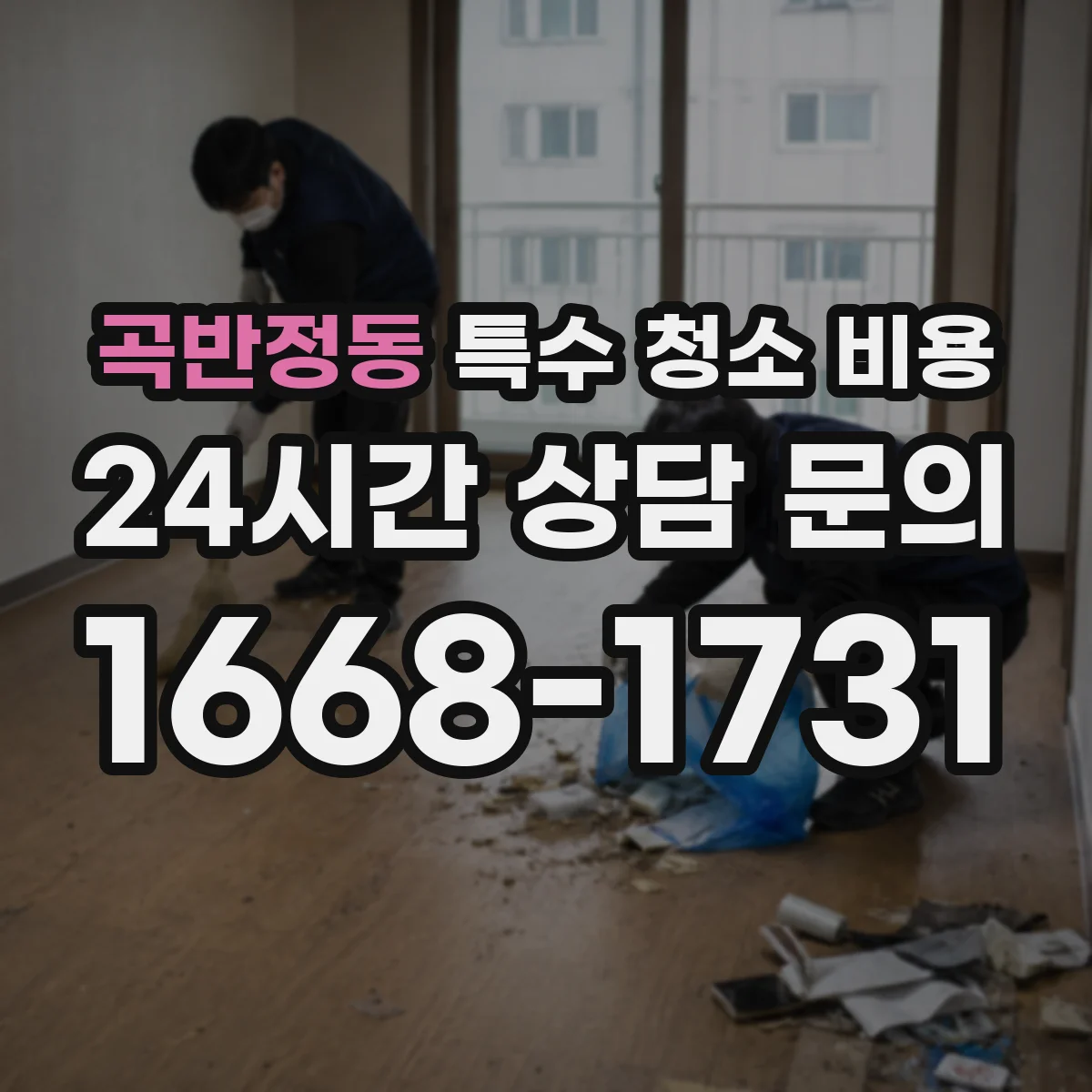 곡반정동 특수 청소 비용