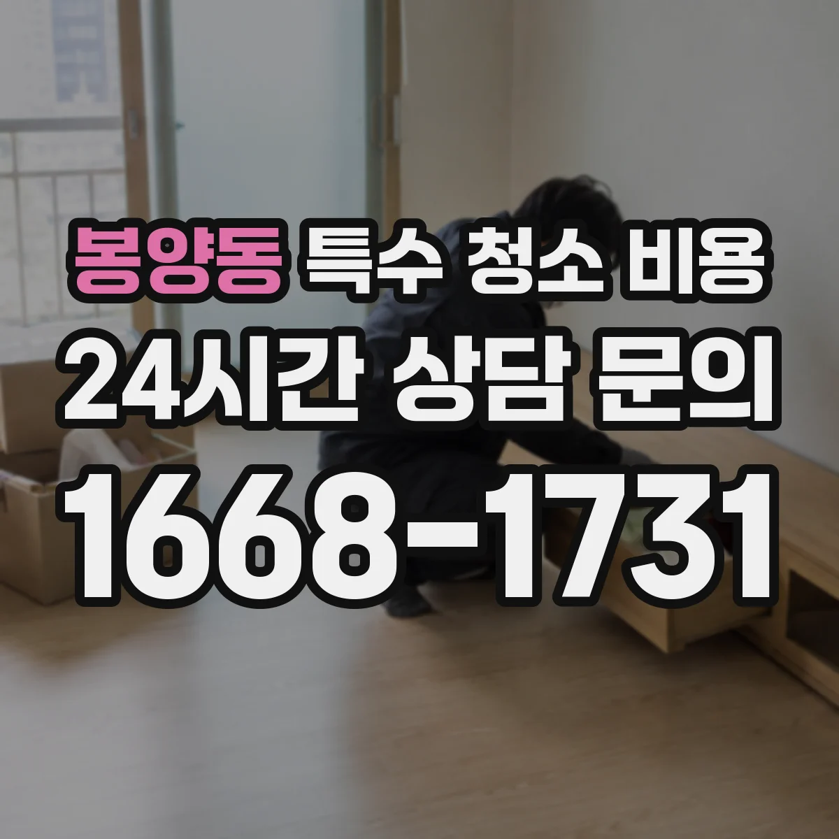 봉양동 특수 청소 비용