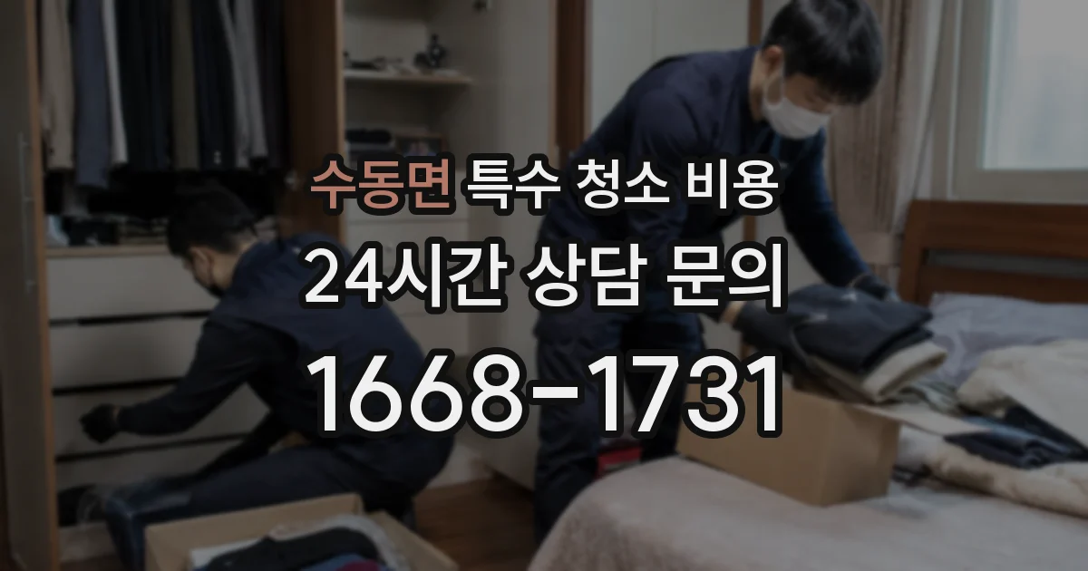 수동면 특수 청소 비용