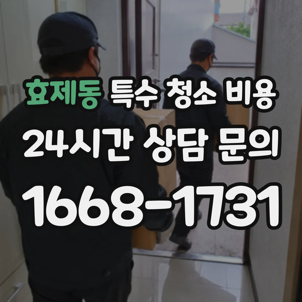 효제동 특수 청소 비용