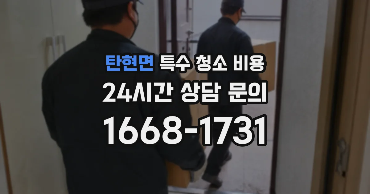 탄현면 특수 청소 비용