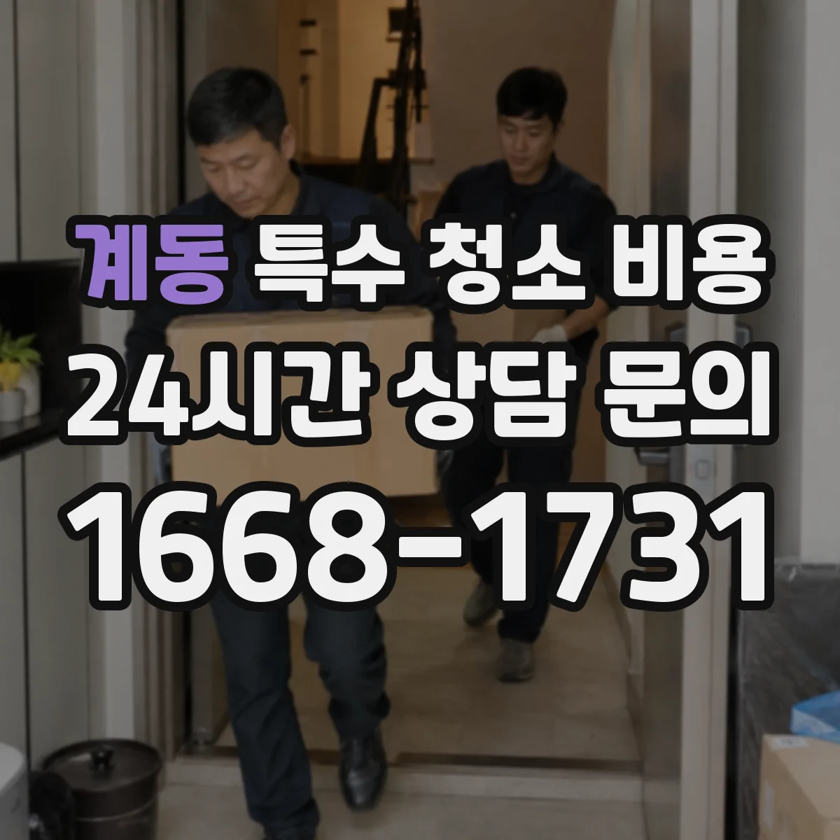 계동 특수 청소 비용