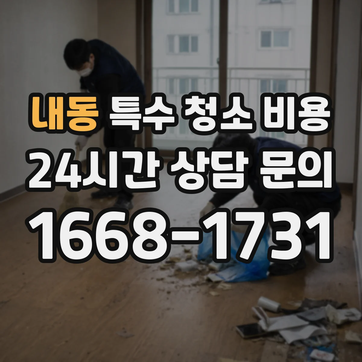 내동 특수 청소 비용