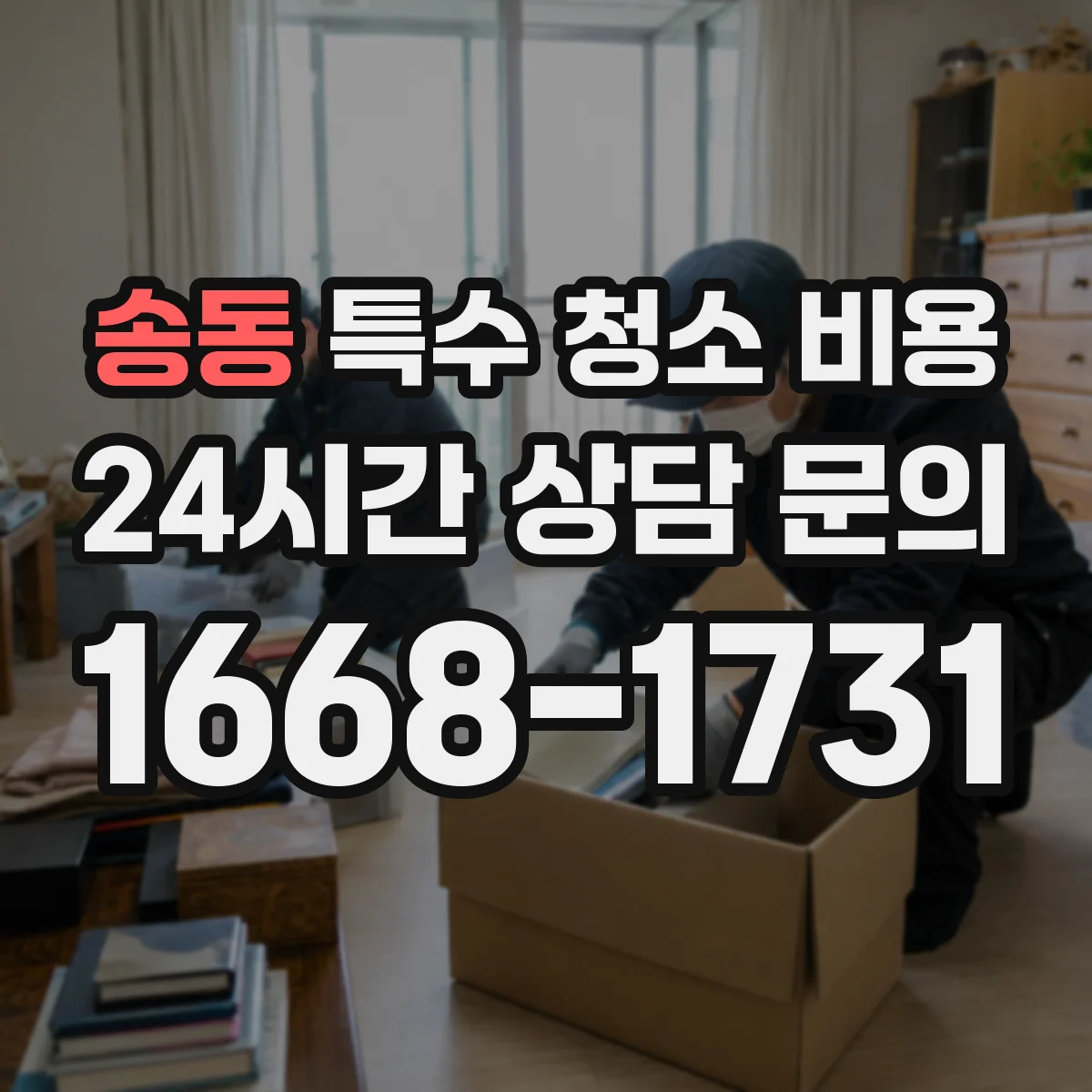 송동 특수 청소 비용