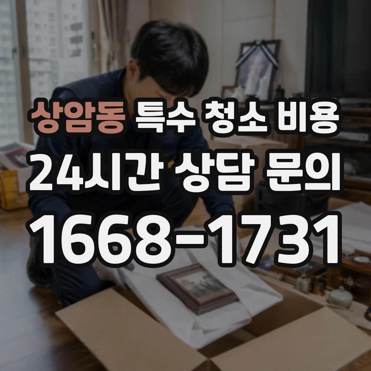 상암동 특수 청소 비용