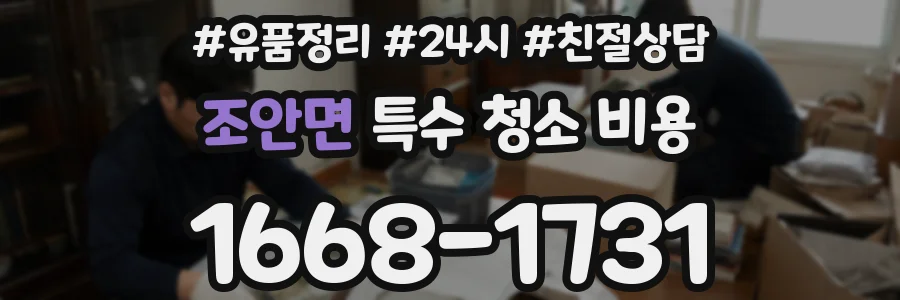 조안면 특수 청소 비용