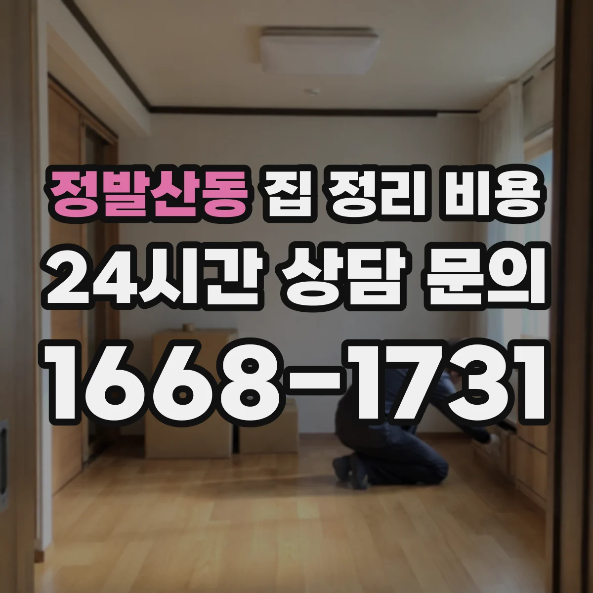 정발산동 집 정리 비용