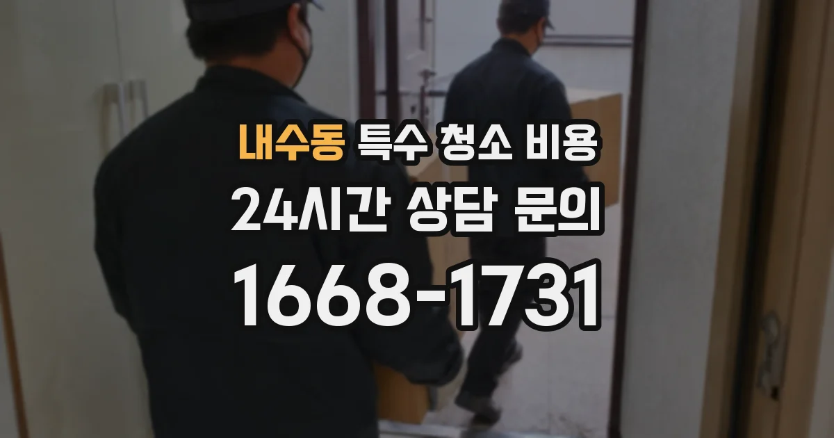 내수동 특수 청소 비용