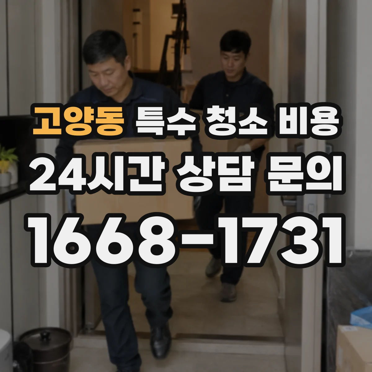고양동 특수 청소 비용